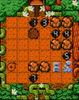 D*Fuzed (GBC)