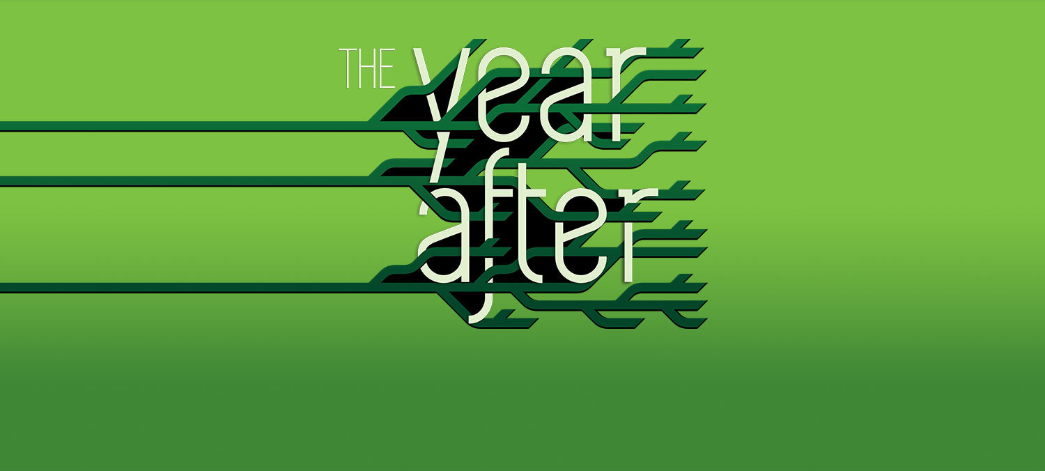 The Year After (GBC)