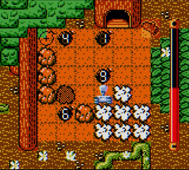 D*Fuzed (GBC)