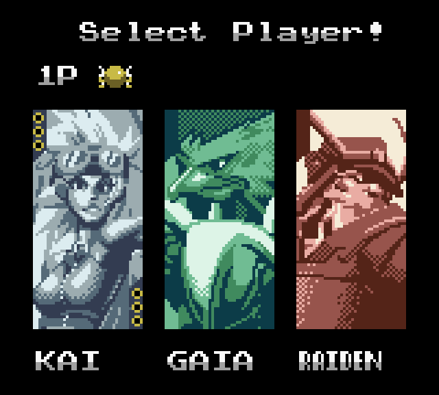 Wing Warriors (GBC) - Digital Edition